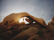 Joshua Tree National Park