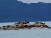 Glacier Bay National Park 