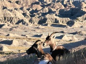Badlands National Park