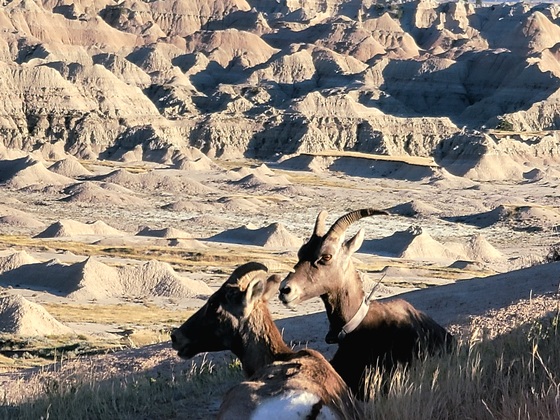 Badlands National Park