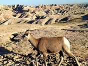 Badlands National Park