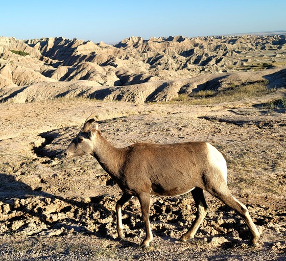 Badlands National Park