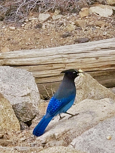 Rocky Mountain National Park 