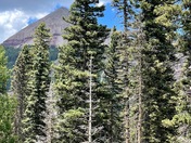 San Juan National Forest