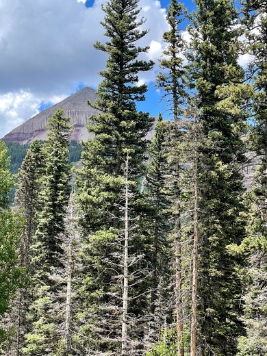 San Juan National Forest