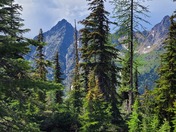 North Cascades National Park
