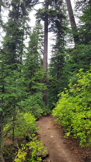 North Cascades National Park