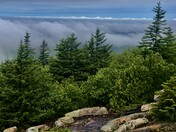 Acadia National Park