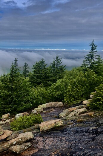 Acadia National Park