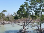 Everglades National Park
