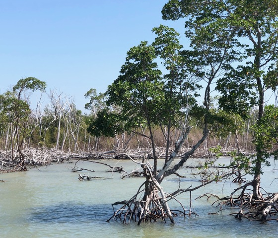 Everglades National Park