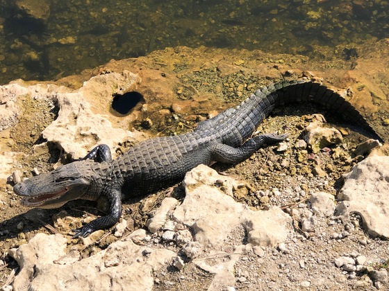 Big Cypress National Preserve