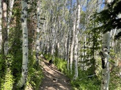 Wasatch National Forest
