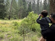 Yosemite National Park