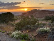 Arches National Park