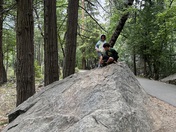 Yosemite National Park