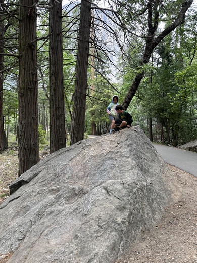 Yosemite National Park