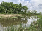 George Washington Memorial Parkway
