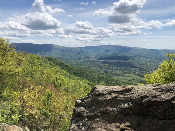 Shenandoah National Park