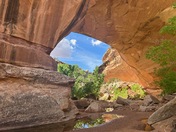 Natural Bridges National Monument