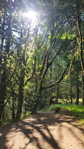 Olympic National Park 