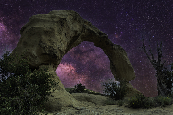 Cox Canyon Arch