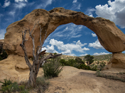 Cox Canyon