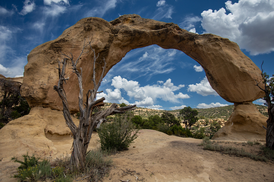 Cox Canyon
