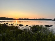 Superior National Forest