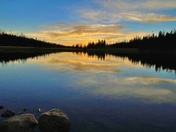Medicine Bow National Forest 