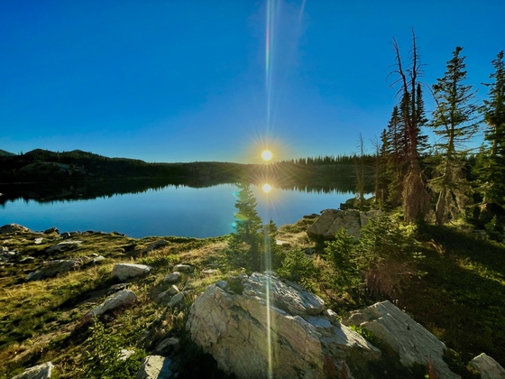 Medicine Bow National Forest 