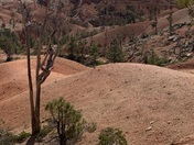 Bryce Canyon National Park