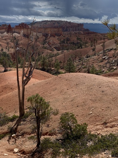 Bryce Canyon National Park