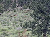 Rocky Mountain National Park