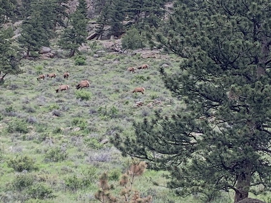 Rocky Mountain National Park