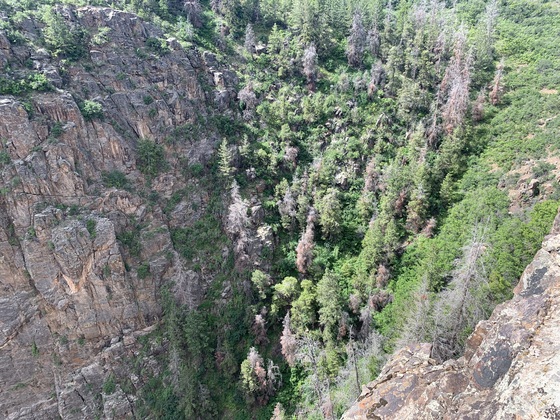 Black Canyon of the Gunnison National Park