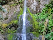 Olympic National Park