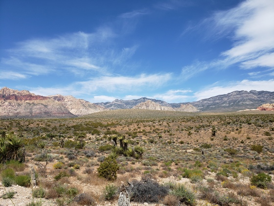Red Rock Canyon National Conservation Area