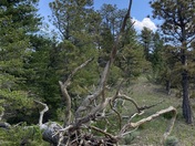 Upper Missouri River Breaks National Monument