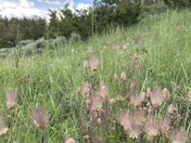 Upper Missouri River Breaks National Monument