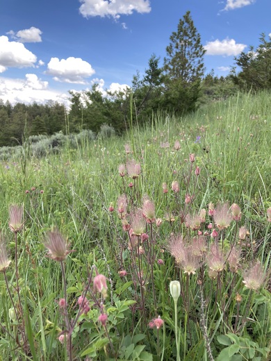 Upper Missouri River Breaks National Monument