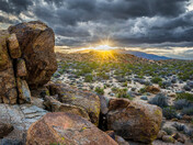Joshua Tree National Park
