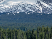 Mount Hood National Forest