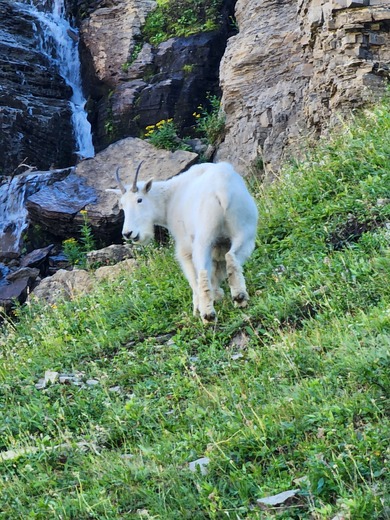 Glacier National Park