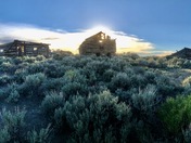 BLM - Serviceberry Holmes Homestead