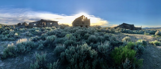 BLM - Serviceberry Holmes Homestead