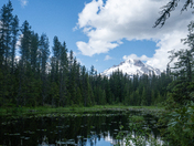 Mount Hood National Forest