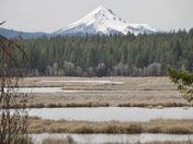 Upper Klamath Wildlife Refuge