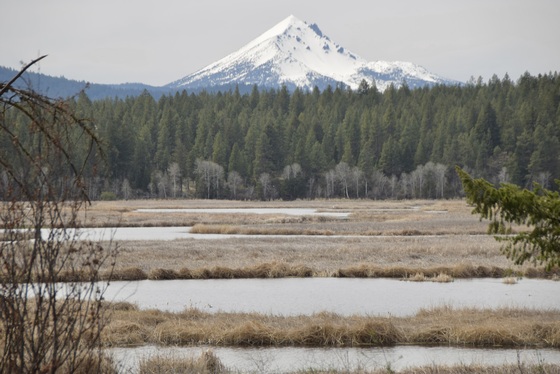 Upper Klamath Wildlife Refuge
