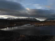 Denali National Park 